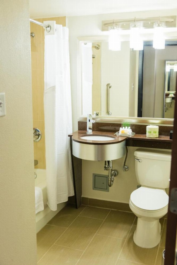 Holiday Inn Houston Downtown image 10