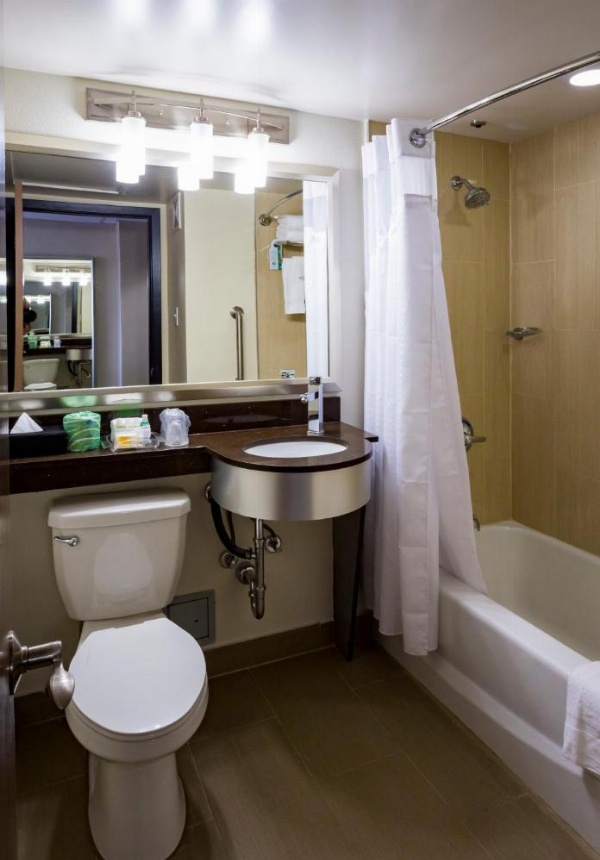 Holiday Inn Houston Downtown image 21