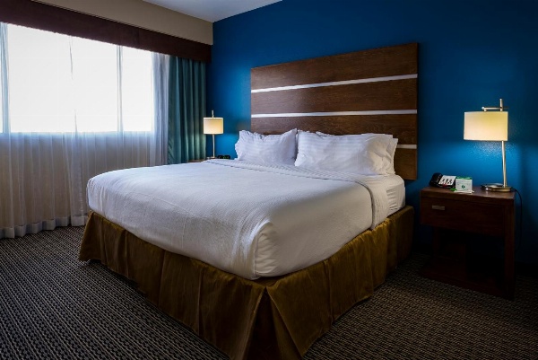 Holiday Inn Houston Downtown image 6