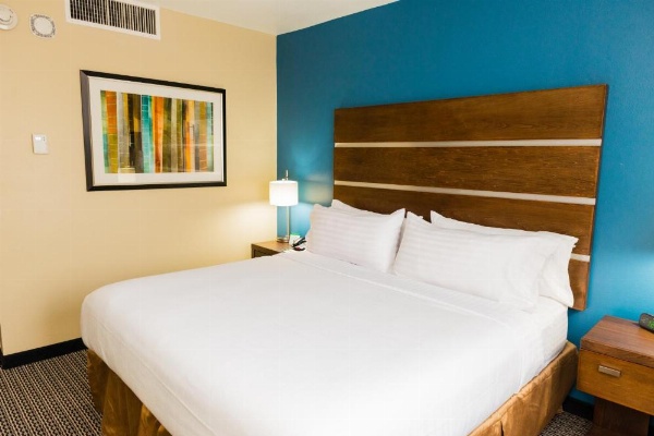 Holiday Inn Houston Downtown image 9